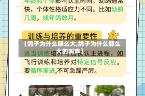 【鸽子为什么那么大,鸽子为什么那么大的叫声】