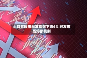 土耳其股市基准指数下跌6% 触发市场熔断机制