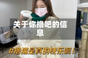 关于你撸吧的信息