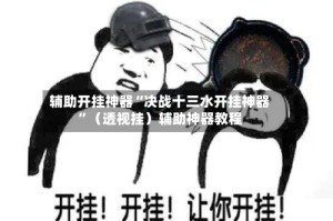 辅助开挂神器“决战十三水开挂神器”（透视挂）辅助神器教程