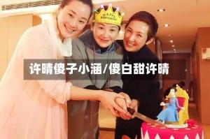 许晴傻子小涵/傻白甜许晴
