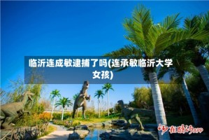 临沂连成敏逮捕了吗(连承敏临沂大学女孩)