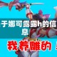 关于娜可露露h的信息