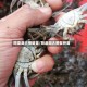 阳澄湖大闸蟹苗/阳澄湖大闸蟹种苗