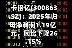 卡倍亿(300863.SZ)：2025年归母净利润1.19亿元，同比下降26.15%