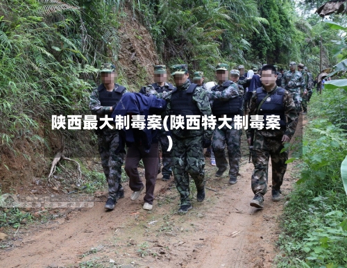 陕西最大制毒案(陕西特大制毒案)-第1张图片