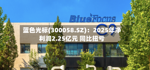 蓝色光标(300058.SZ)：2025年净利润2.25亿元 同比扭亏-第1张图片