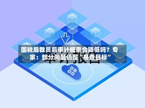 国税局裁员后审计概率会降低吗？专家：部分问题仍是“易查目标”-第3张图片