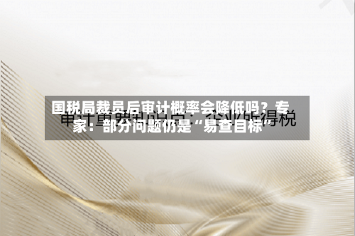 国税局裁员后审计概率会降低吗？专家：部分问题仍是“易查目标”-第2张图片