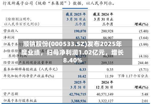 顺钠股份(000533.SZ)发布2025年度业绩，归母净利润1.02亿元	，增长8.40%-第1张图片