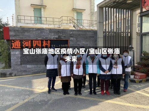宝山张庙地区疫情小区/宝山区张庙未来-第1张图片