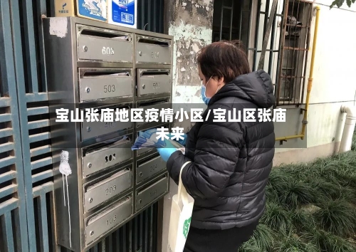 宝山张庙地区疫情小区/宝山区张庙未来-第2张图片