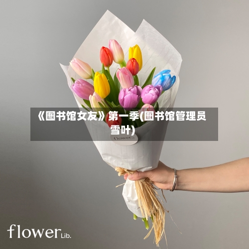 《图书馆女友》第一季(图书馆管理员雪叶)-第2张图片