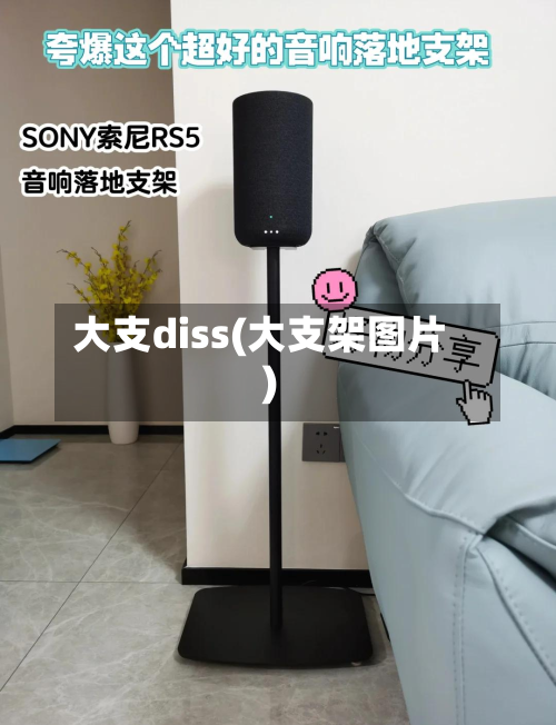大支diss(大支架图片)-第1张图片
