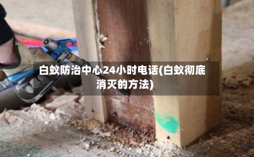 白蚁防治中心24小时电话(白蚁彻底消灭的方法)-第1张图片
