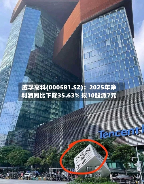 威孚高科(000581.SZ)：2025年净利润同比下降35.63% 拟10股派7元-第1张图片