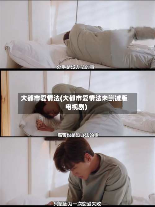 大都市爱情法(大都市爱情法未删减版电视剧)-第2张图片