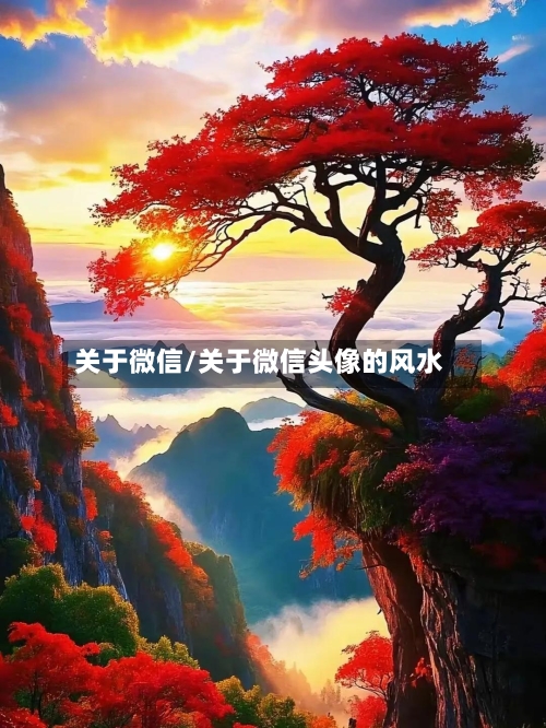 关于微信/关于微信头像的风水-第1张图片