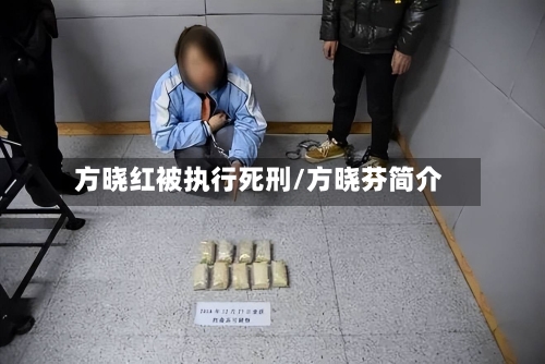 方晓红被执行死刑/方晓芬简介-第2张图片