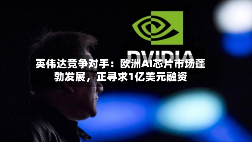 英伟达竞争对手：欧洲AI芯片市场蓬勃发展	，正寻求1亿美元融资-第3张图片