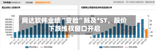 网达软件业绩“变脸	”触及*ST，股价下跌维权窗口开启-第2张图片