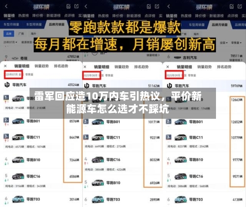 雷军回应造10万内车引热议，平价新能源车怎么选才不踩坑-第1张图片