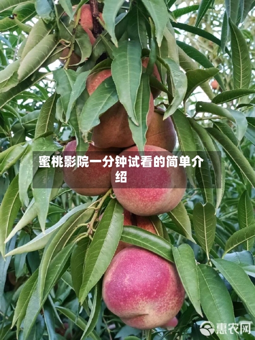 蜜桃影院一分钟试看的简单介绍-第2张图片