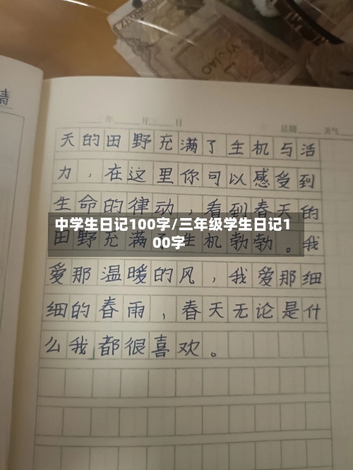 中学生日记100字/三年级学生日记100字-第2张图片