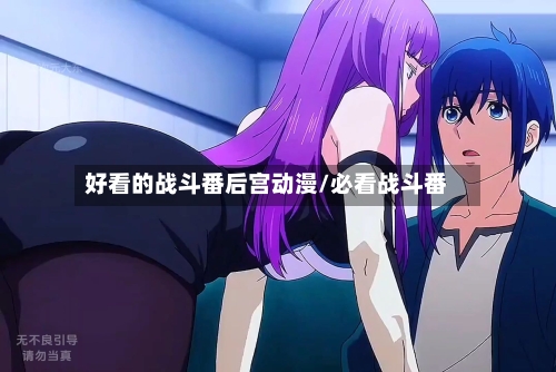 好看的战斗番后宫动漫/必看战斗番-第2张图片