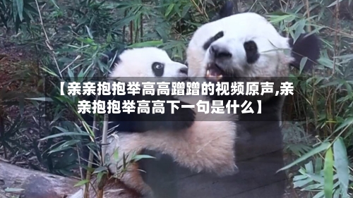 【亲亲抱抱举高高蹭蹭的视频原声,亲亲抱抱举高高下一句是什么】-第1张图片