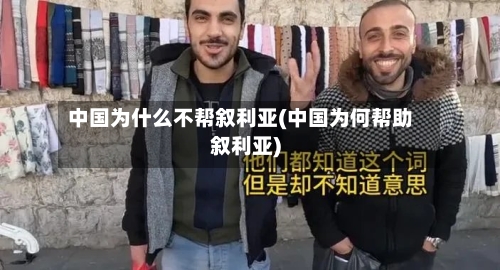 中国为什么不帮叙利亚(中国为何帮助叙利亚)-第3张图片