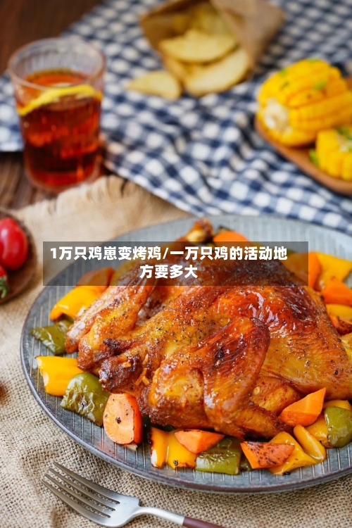 1万只鸡崽变烤鸡/一万只鸡的活动地方要多大-第3张图片