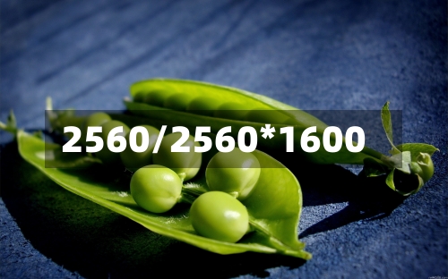 2560/2560*1600-第1张图片