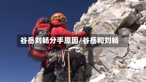 谷岳刘畅分手原因/谷岳和刘畅-第2张图片