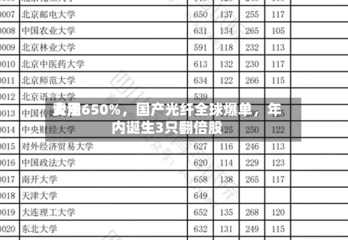 费用大涨650%，国产光纤全球爆单，年内诞生3只翻倍股-第2张图片