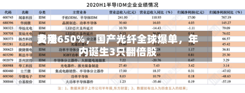 费用大涨650%，国产光纤全球爆单，年内诞生3只翻倍股-第3张图片