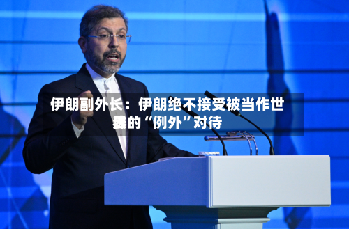 伊朗副外长：伊朗绝不接受被当作世界法的“例外”对待-第3张图片