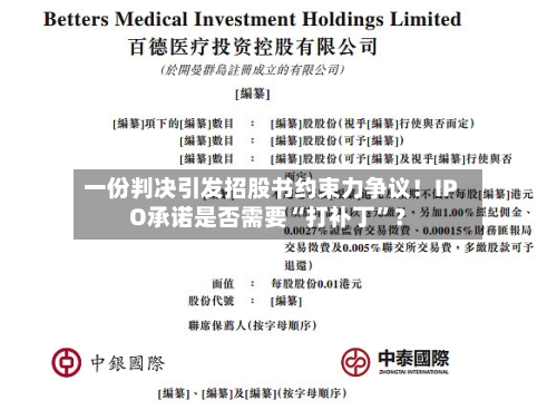 一份判决引发招股书约束力争议！IPO承诺是否需要“打补丁	”？-第1张图片