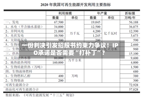 一份判决引发招股书约束力争议！IPO承诺是否需要“打补丁”？-第2张图片