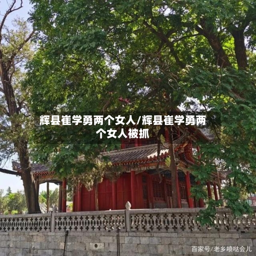 辉县崔学勇两个女人/辉县崔学勇两个女人被抓-第1张图片