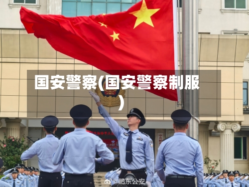 国安警察(国安警察制服)-第2张图片