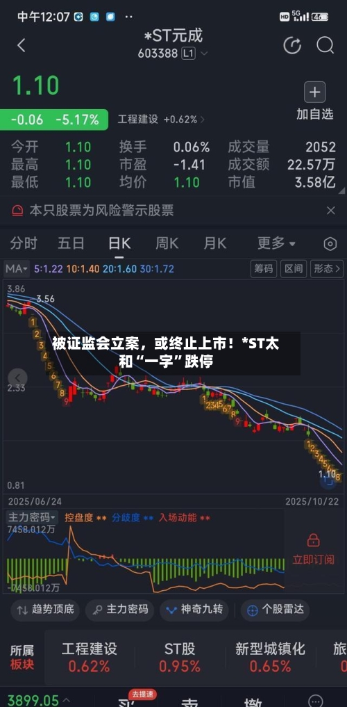 被证监会立案，或终止上市！*ST太和“一字”跌停-第3张图片