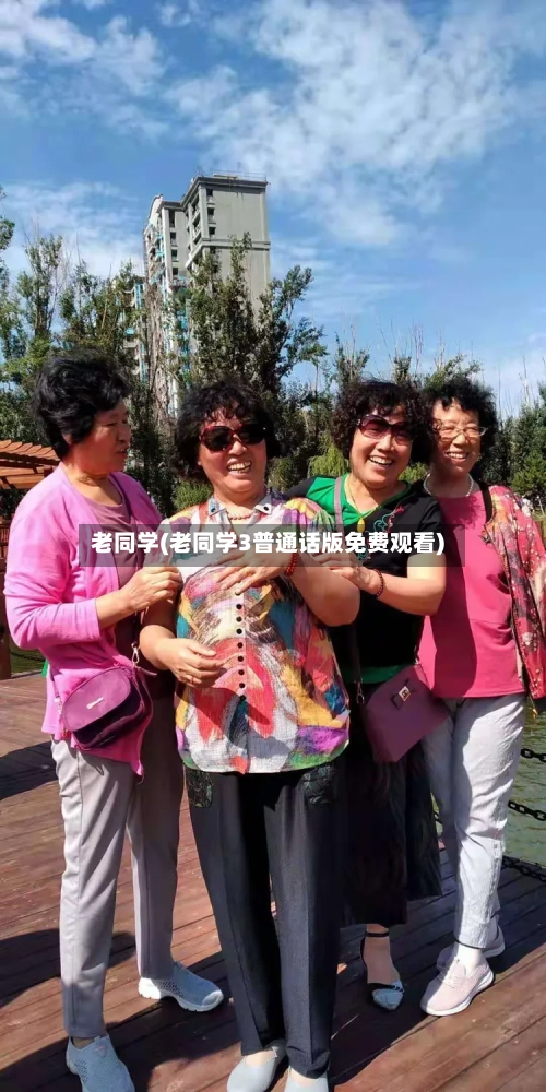 老同学(老同学3普通话版免费观看)-第2张图片
