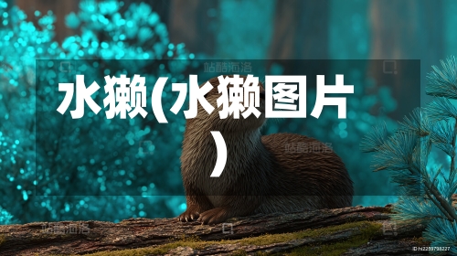 水獭(水獭图片)-第1张图片