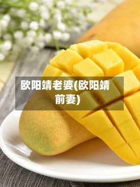 欧阳靖老婆(欧阳靖前妻)-第2张图片