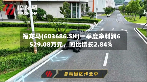 福龙马(603686.SH)一季度净利润6529.08万元，同比增长2.84%-第1张图片