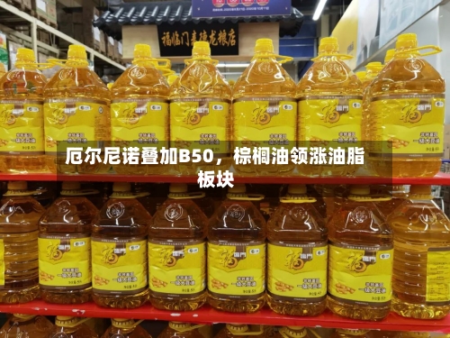 厄尔尼诺叠加B50	，棕榈油领涨油脂板块-第1张图片