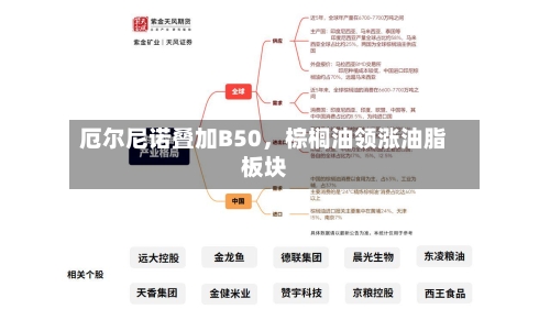 厄尔尼诺叠加B50，棕榈油领涨油脂板块-第2张图片