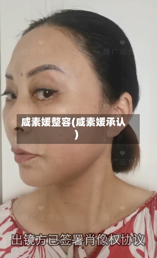 咸素媛整容(咸素媛承认)-第3张图片