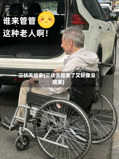 三伏天结束(三伏天结束了又好像没结束)-第2张图片